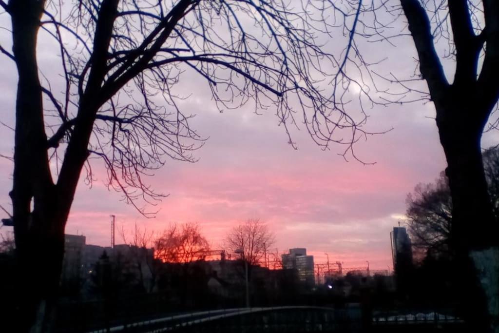 Zagreb Botanical Garden Budget Apartment מראה חיצוני תמונה